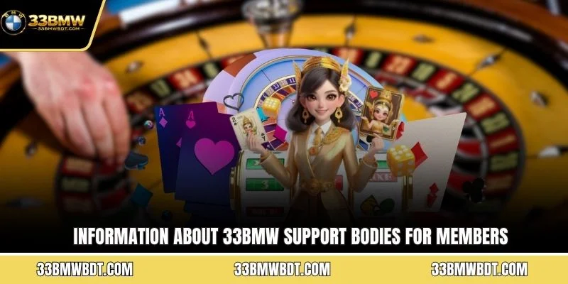 Information about 33BMW support bodies for members