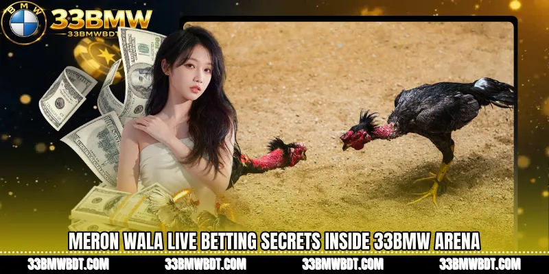 Meron Wala live betting Secrets Inside 33BMW Arena
